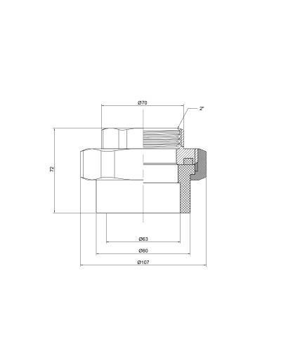 Згін "Американка" PPR Thermo Alliance 63х2" ВР