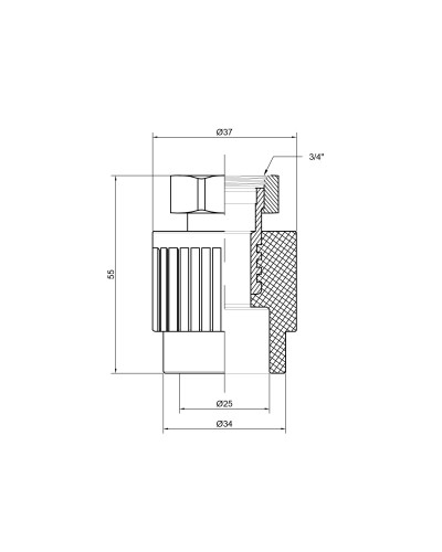 Муфта PPR Thermo Alliance з накидною гайкою 25х3/4"