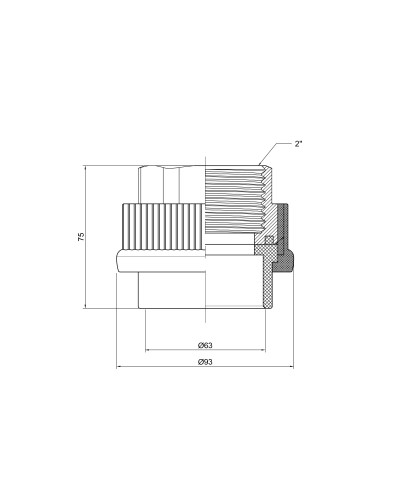 Муфта PPR Thermo Alliance 63х2" ВР