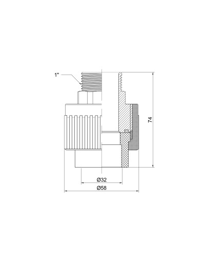 Муфта PPR Thermo Alliance 32х1" ЗР