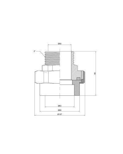 Згін "Американка" PPR Thermo Alliance 63х2" ЗР