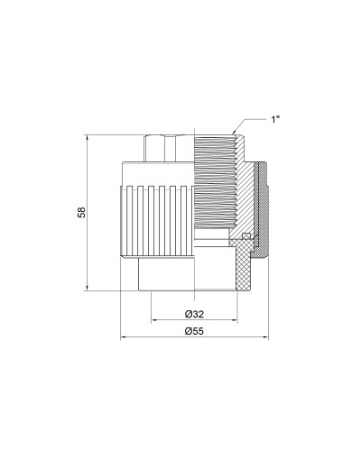 Муфта PPR Thermo Alliance 32х1" ВР